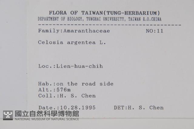 青葙藏品圖，第2張