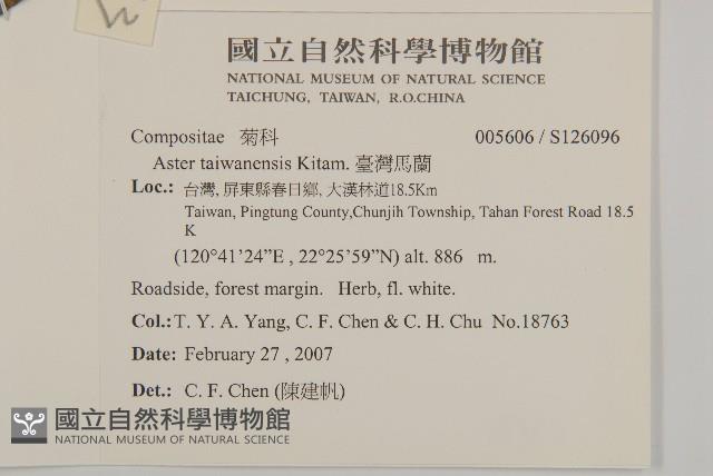 臺灣馬蘭藏品圖，第2張