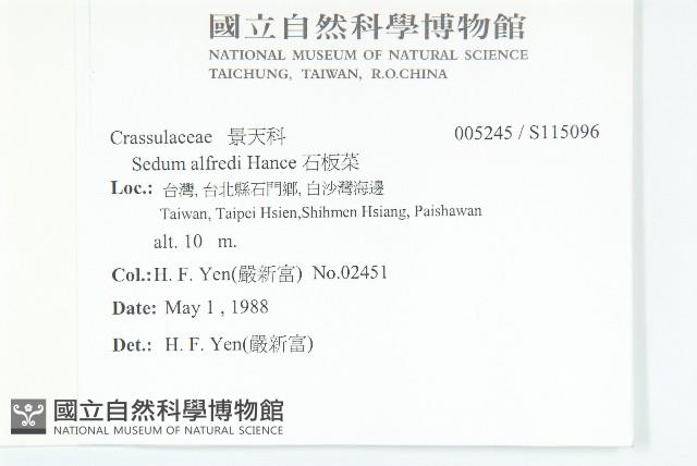 石板菜藏品圖，第2張