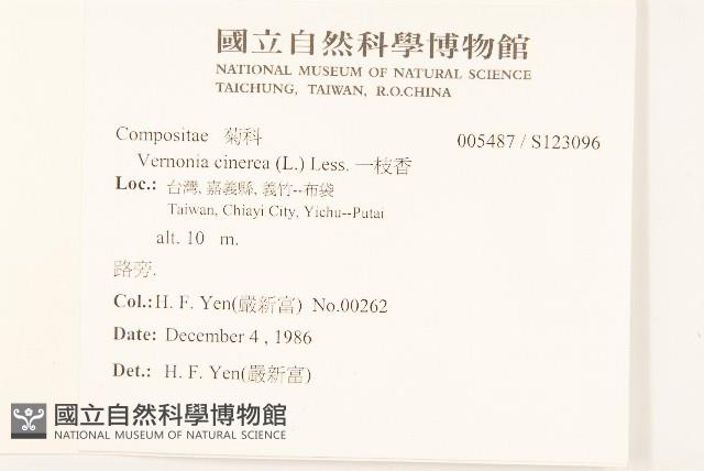 一枝香藏品圖，第2張