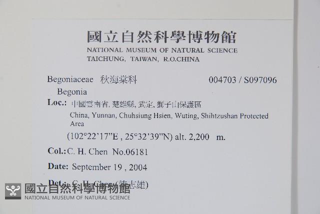 登錄號:S097096藏品圖，第2張