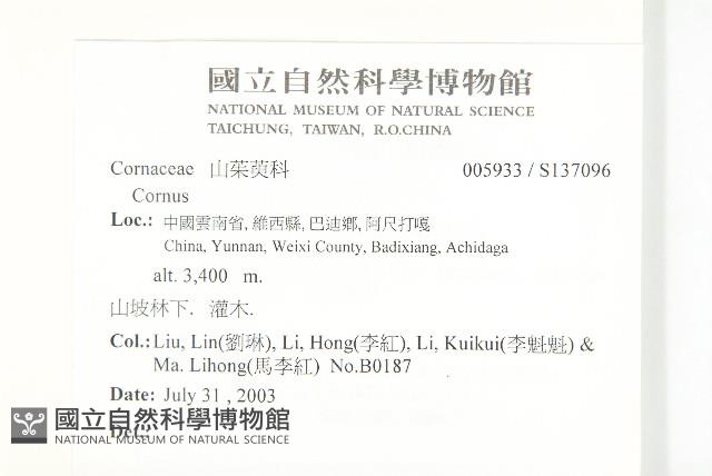 登錄號:S137096藏品圖，第2張