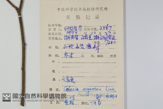 青葙藏品圖，第2張