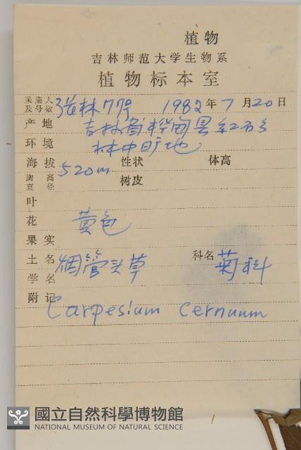 杓兒菜藏品圖，第2張