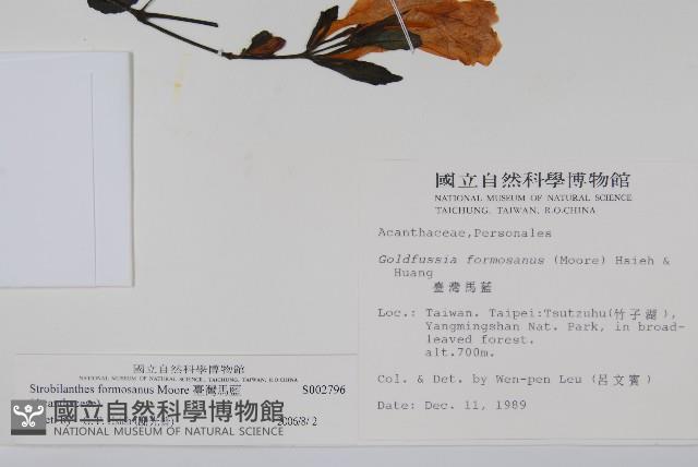 馬藍藏品圖，第2張