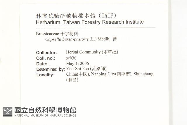 薺藏品圖，第2張