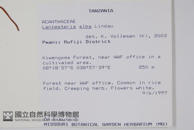 登錄號:S100796藏品圖，第2張