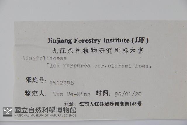 冬青藏品圖，第2張