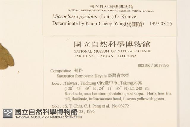 小舌菊、蔓綿菜藏品圖，第2張