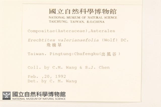 飛機草藏品圖，第2張