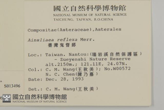 臺灣鬼督郵藏品圖，第2張