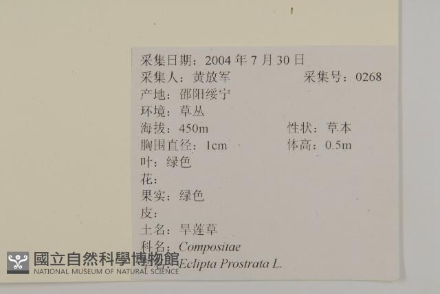 鱧腸藏品圖，第2張