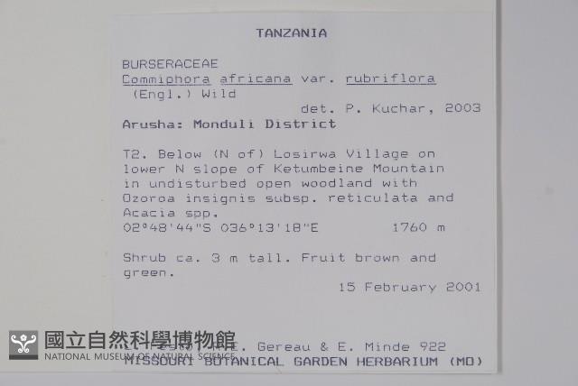 登錄號:S094196藏品圖，第2張