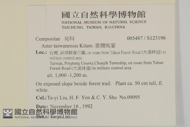 臺灣馬蘭藏品圖，第2張