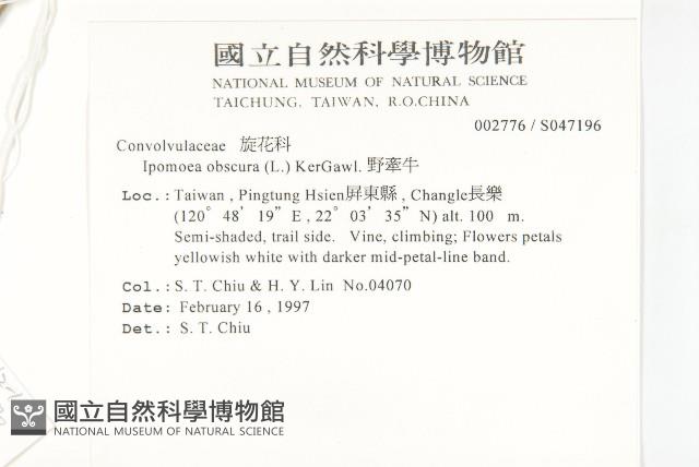 野牽牛藏品圖，第2張