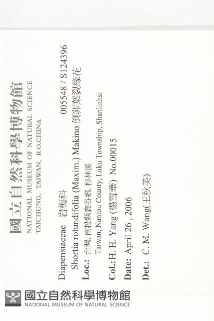 倒卵葉裂緣花藏品圖，第2張