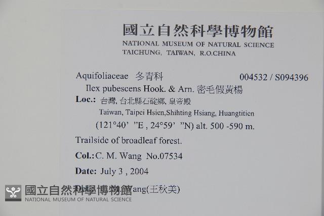 密毛假黃楊藏品圖，第2張