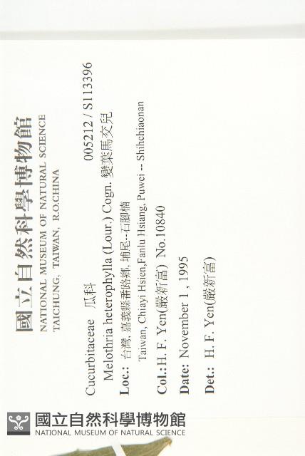 變葉馬交兒藏品圖，第2張