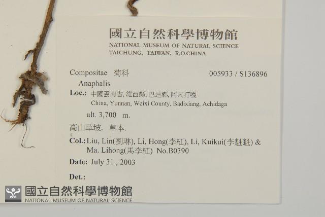 登錄號:S136896藏品圖，第2張