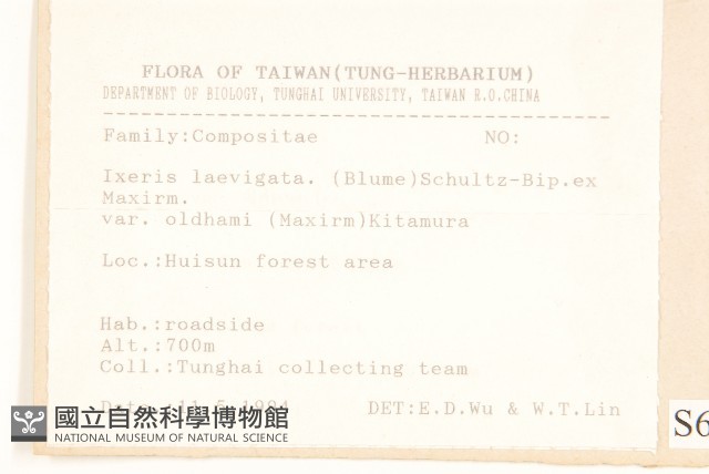 刀傷草藏品圖，第2張