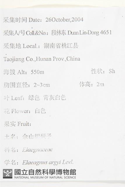 余山羊奶子藏品圖，第2張