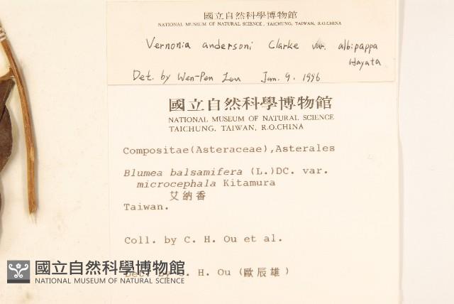 過山龍藏品圖，第2張