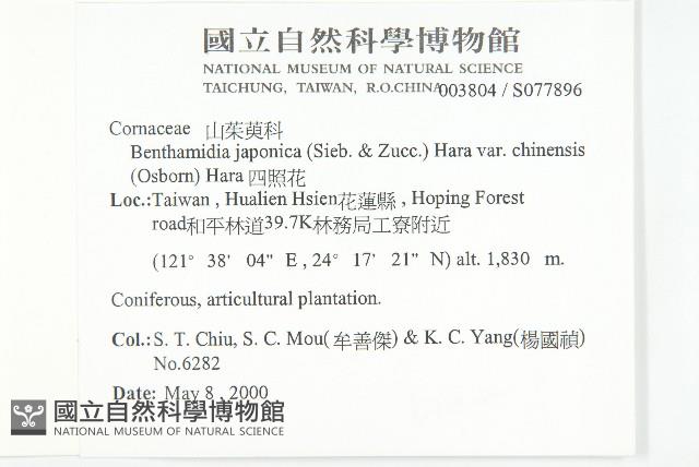 四照花藏品圖，第2張