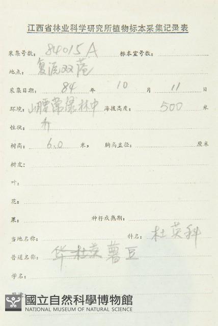 薯豆藏品圖，第2張