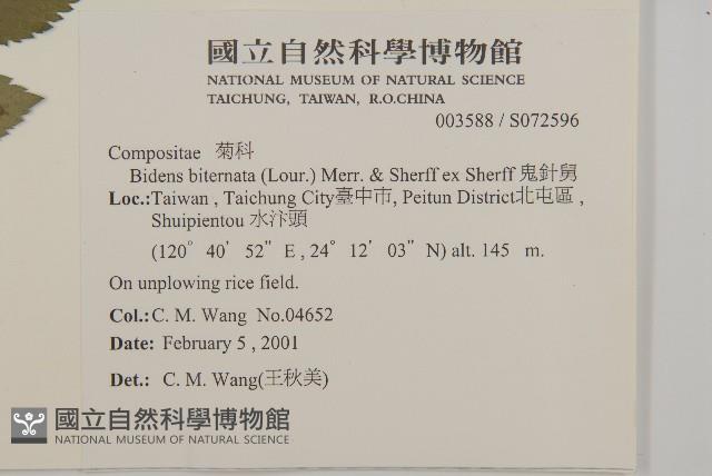 鬼針舅藏品圖，第2張