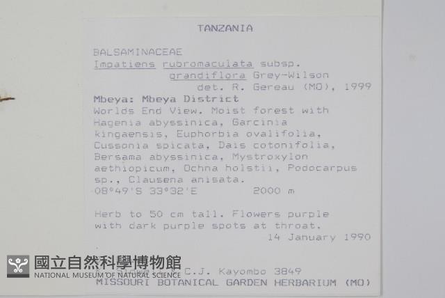 登錄號:S100596藏品圖，第2張