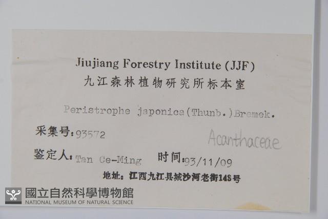 九頭獅子草藏品圖，第2張