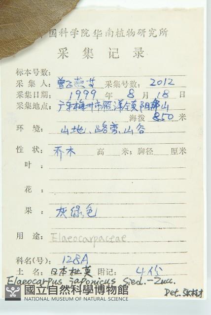 薯豆藏品圖，第2張