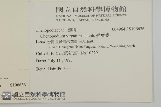 Accession Number:S106636 Collection Image, Figure 2, Total 3 Figures