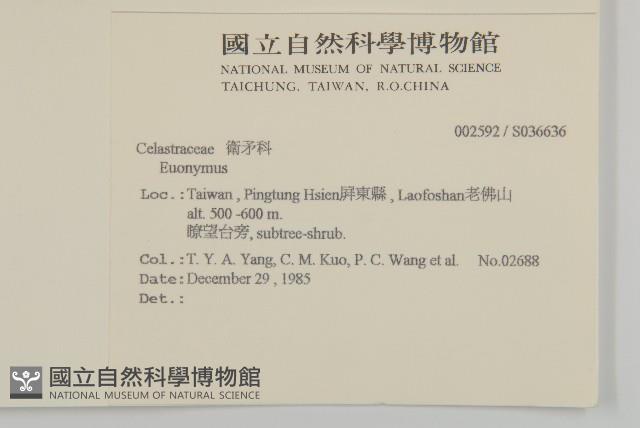 登錄號:S036636藏品圖，第2張