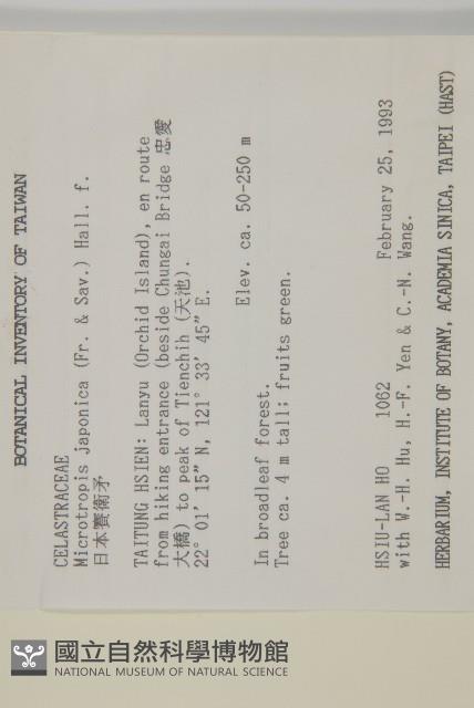 日本賽衛矛、日本假衛矛藏品圖，第2張