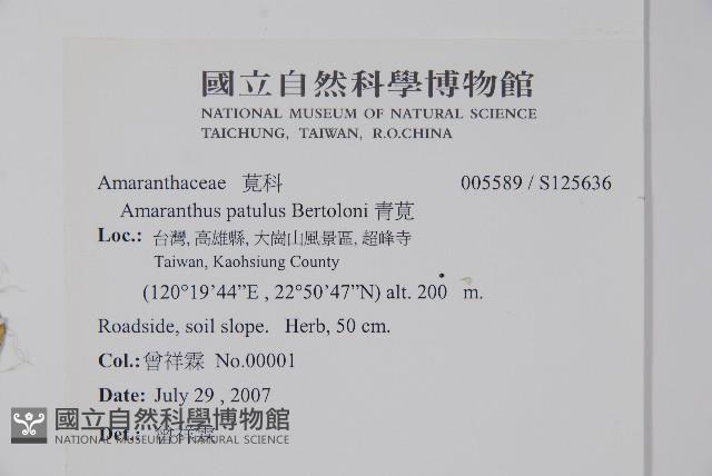 青莧藏品圖，第2張