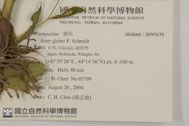 登錄號:S095636藏品圖，第2張