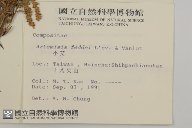 小艾、矮蒿藏品圖，第2張