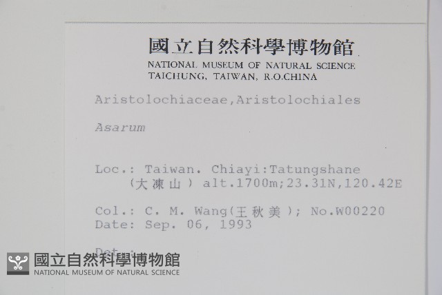 登錄號:S012036藏品圖，第2張