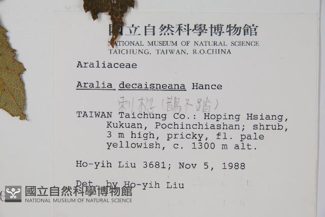 鵲不踏藏品圖，第5張