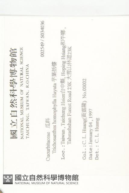 芋葉括樓藏品圖，第2張