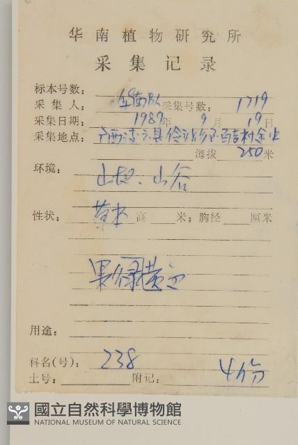 鬼針舅藏品圖，第2張