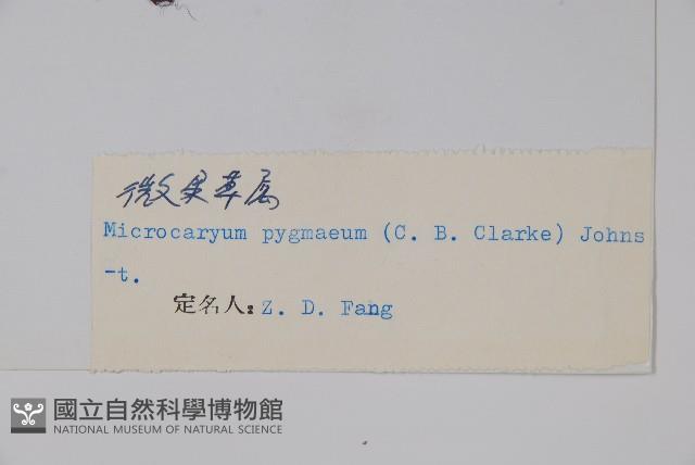 微果草藏品圖，第2張