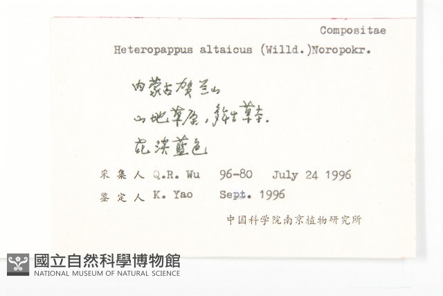 阿爾泰狗哇花藏品圖，第2張