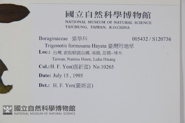 臺灣附地草藏品圖，第2張