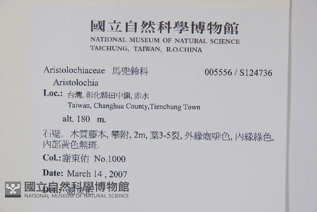 登錄號:S124736藏品圖，第2張