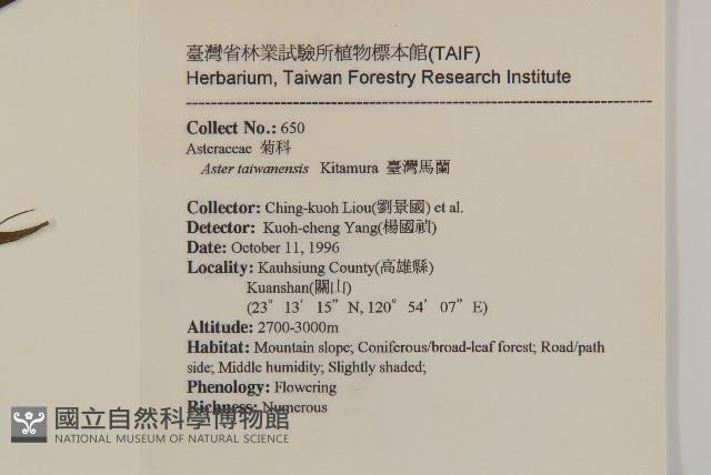 臺灣馬蘭藏品圖，第2張