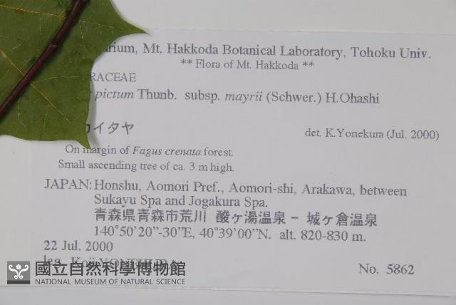 登錄號:S074736藏品圖，第2張