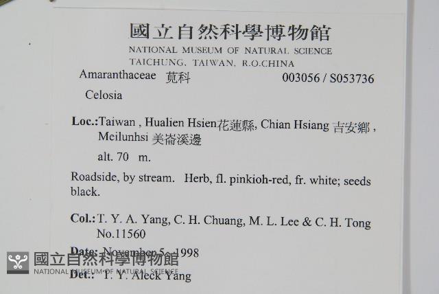 登錄號:S053736藏品圖，第2張