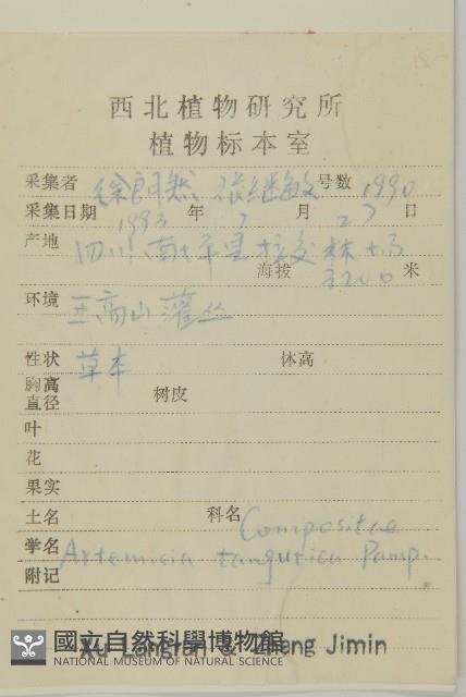 甘草蒿藏品圖，第2張